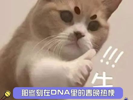 当年的#春晚 热梗都是一火火一年的!#沈腾 #宋丹丹