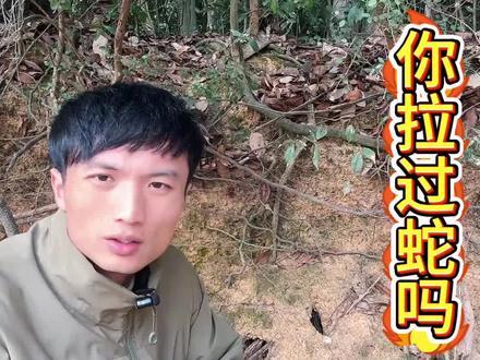 可以聊聊你的童年趣事#蛇类科普