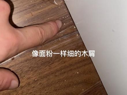 #温州除虫 #除虫灭鼠 #粉蠹虫消杀方法 家里出现少量粉蠹虫,这个方法直接用。