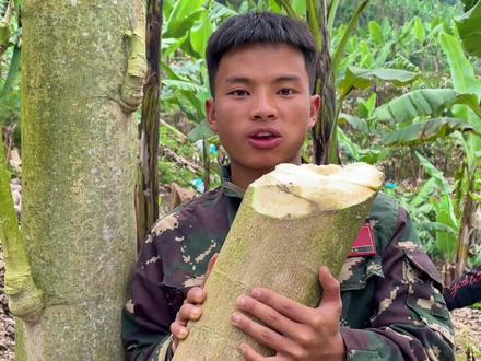 #记录生活 #美食 #乡村振兴 @仨 @鞍底森林 @DOU+小助手 @抖音小助手 木瓜树煮熟了再炒吃又脆微带甜 记得小时候爸爸做过几次给我吃 已经好久没有吃了😁