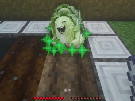 白菜对村村笑 @小救星宝可梦 #我的世界 #白菜对我笑