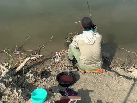 静钓常思己过,只有钓鲫能让我静下心来思考人生、平和心态。