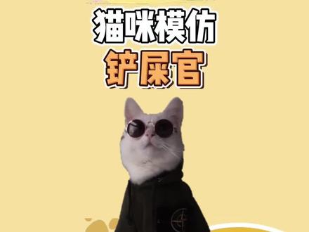 猫咪会模仿人类的奥 #猫 #冷知识