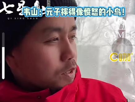 别人摔跤:疼疼疼! 元子摔跤:韦山认证·愤怒的小鸟同款俯冲#快来围观#上热门#韦山#建哥#蜜蜂哥