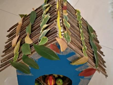 这样的自制鸟窝你们给打几分?儿子说他非常满意!