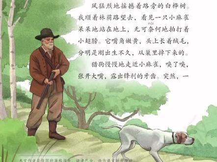 《麻雀》四年级语文上册第十六课#课文朗读 #小学语文