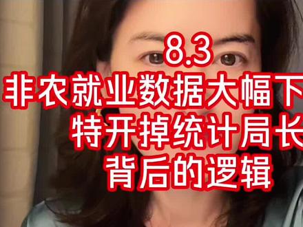 8.3 换统计局长?背后的逻辑