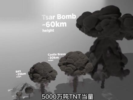 世界核弹威力对比,最后一个威力太大!
#核弹 #世界之最 #核辐射 #爆炸