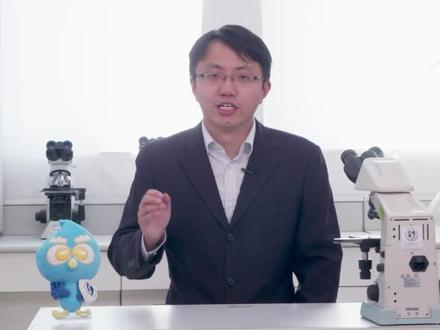 蛔虫在人体内的路径揭秘!#蛔虫 #医学科普 #健康 #疾控