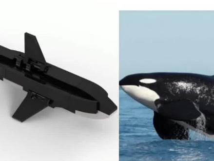 #乐高moc #乐高 听说虎鲸喜欢吃大白鲨的肝脏?#变形金刚 #乐高moc #乐高 #男孩玩具 #积木 #乐高搭建 #拼装模型 #乐高积木搭建 #产品设计 #机械设计