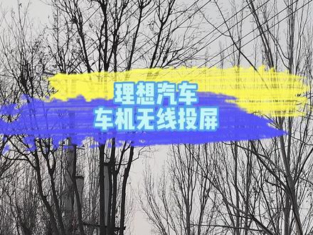理想汽车车机无线投屏#理想汽车 #汽车知识#dou是好车