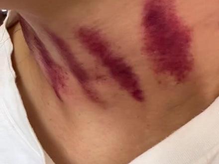 🌹🌹🌹🌹🌹🌹