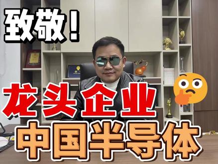 致敬中国半导体龙头企业! #半导体 #企业 #科技 #制造 #芯片