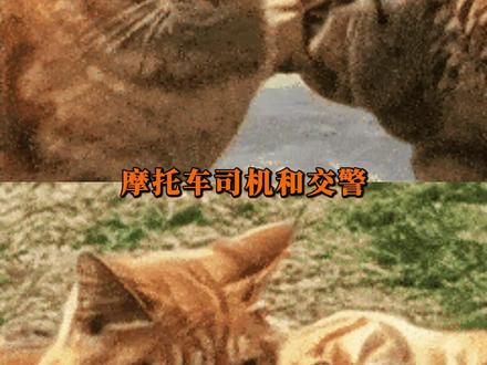 交警:你多说点,我还能找出罚你的点!