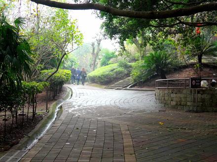 鸟儿叫声藏密码!红腹锦鸡求偶、孔雀宣领地、火烈鸟唤同伴,快来解锁重庆动物园鸟类的 “悄悄话”~#动物科普 #重庆动物园