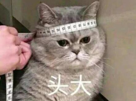 懂点代码 为所欲为#前端学习 #js #前端 #编程入门 #设计师 #程序员