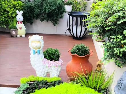 养花就是要利用好它的优点掌握好它的缺点 薄雪万年青也叫中华景天,做地被和花盆铺面草都是非常优秀的#植物科普 #种花#地被植物 #种植 #薄雪万年草