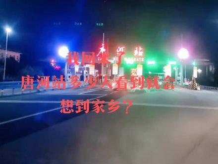 我的省河南省,我的市南阳市,我的县唐河县,身份证411325开头,车牌豫R,区号0377…#唐河#老乡们回家了