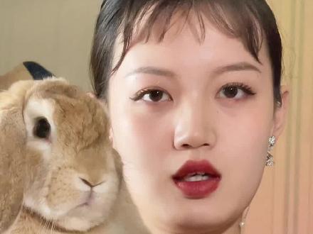 你们要的兔兔亲人小妙招 这玩意跟男人一样 都给我学起来!#垂耳兔元宝 #我和宠物日常 #萌宠出道计划 #元宝妈整活