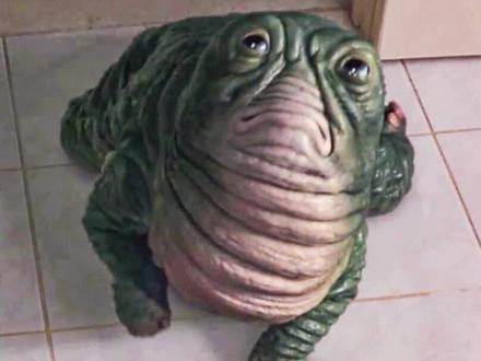 学好物理化学,啥怪物都不怕#宅家dou剧场 #怪物