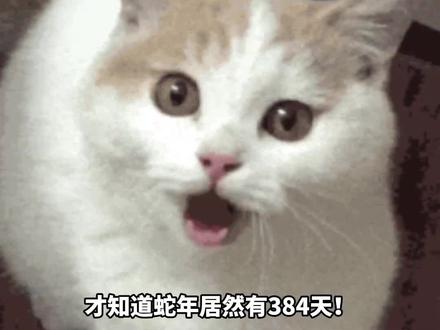 #蛇年真是又毒又长 地铁乘务都受不了了。网友:今年的假真是等到快死了……