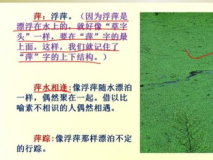 巧记“萍”字的结构
