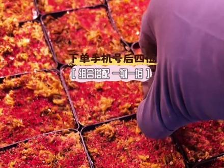 会捉虫的可爱小花!小白兔狸藻全年开花