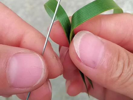 纯手工棕叶编织知了教程#非遗质文化