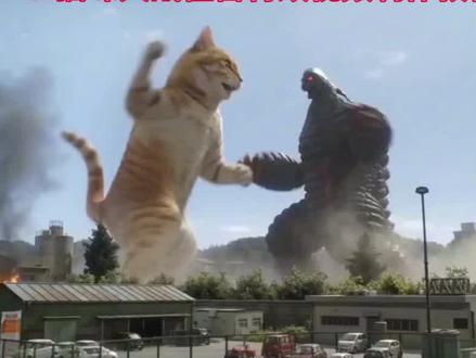 哈基米打怪兽ai特效视频制作教程 哈基米大战怪兽ai制作教程 猫咪大战怪兽ai视频制作教程 猫咪大战哥斯拉ai制作教程 哈基米大战怪兽ai制作教程 哈基米打怪兽视频教程 哈基米对战哥斯拉ai特效制作教程 小云雀ai猫咪大战怪兽教程制作 猫咪大战怪兽制作教程 #小云雀AI #小云雀爆款马上成片 #小云雀seedance #哈基米大战怪兽ai制作教程 #哈基米大战怪兽教程