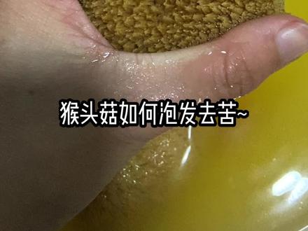 猴头菇怎么泡发不苦~小兴安岭猴头菇 #猴头菇 #煲汤 #滋补养生 #山野美食