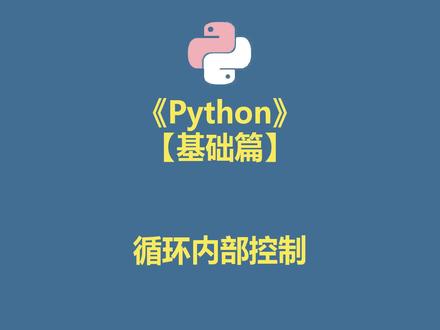 Python 循环内部控制