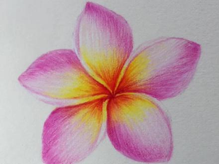 #彩铅 #手绘
是彩铅鸡蛋花🌸呀