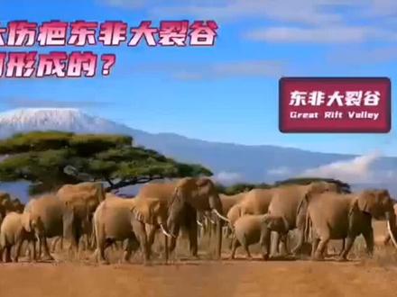 地球伤疤——东非大裂谷#科普知识 #地理知识 #知识分享 #每天跟我涨知识 #敬畏自然