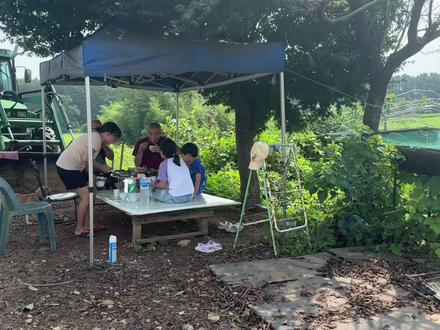 韩国公公为我们种了这么多瓜果,不来就太可惜了! #新鲜采摘 #韩国生活