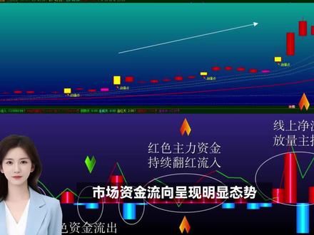 资金流向:经典指标展示,使用方法说明!#通达信 #大智慧 #同花顺 #东方财富 #指标公式