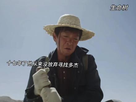 多杰失踪十七年,而他们从未放弃#生命树