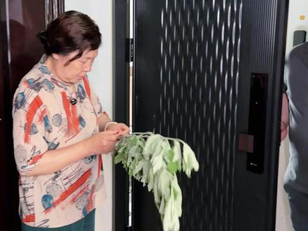 端午节挂艾草有哪些讲究呢?这样挂,氛围感拉满还藏着老祖宗的智慧#勇哥有话说 #生活经验 #经典语录 #端午节