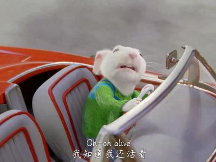 席琳·迪翁经典歌曲I'm alive,欢快的节奏,让人心潮澎湃 #席琳·迪翁 #精灵鼠小弟