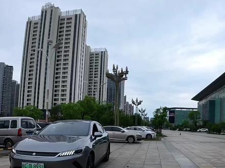 智驾版比亚迪秦PLUSEV #二手车评估 #比亚迪秦plus