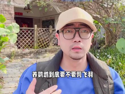 #创作灵感 养鹦鹉到底要不要剪飞羽?对她好不好?多久长出来?#鹦鹉 #科学养宠攻略 #养鸟经验分享 #鹦鹉小白