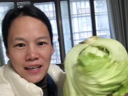 简单又容易的酸菜教程来了