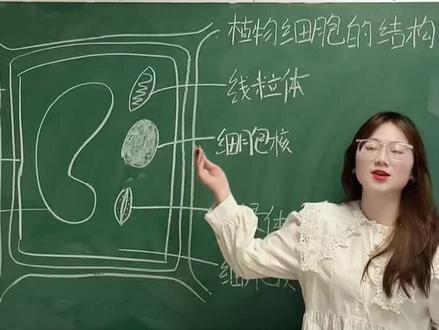 生物一大难点 血液循环#教学 #干货#求评论