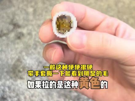 猫💩健康判断 #新手养猫 #养猫经验分享