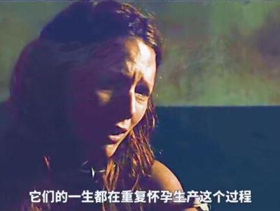 推荐一部美国电影#推荐电影 #持续关注持续精彩 #好剧推荐