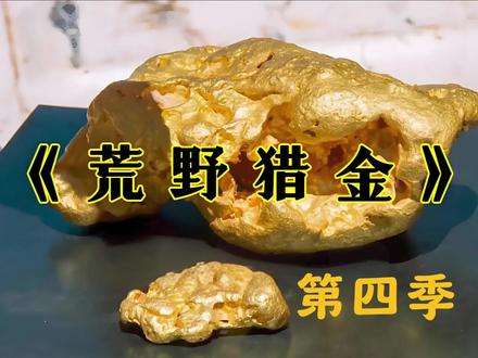 荒野猎金第四季 #dou来聊影视 #荒野 #寻宝 #狗头金 #黄金