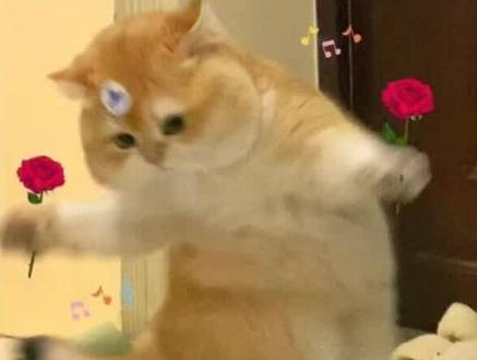 盘点一下这些年,王楚然打了多少工?!#影娱年味不打烊 #影娱热点团 #王楚然 #网剧成何体统 #吐槽