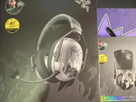 雷蛇和Niko的联名款,用上真能变Niko嘛? #雷蛇 #外设 #niko