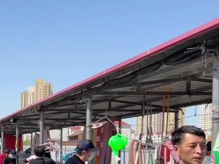 2023.4.8天津武清越秀园早市,芹菜大葱小葱便宜,新蒜苔都是五快 #早市 #赶集 #市场 #农贸市场 #买菜 #天津 #武清 #蔬菜 #水果 #物价