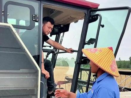 仓库收割机下地实测,帮邻居收一亩多地倒伏,分文不收 #小麦收割 #小麦季 #收割机 #飞明农机