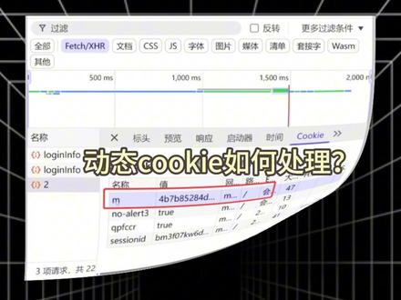 前端网页中遇到set-cookie该怎么操作?今天带大家实战闯关进行教学!#python #python爬虫 #JS逆向 #程序员 #编程